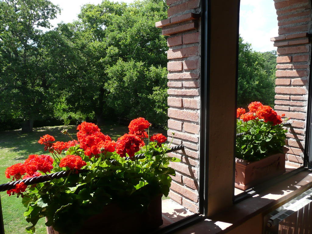 Agriturismo Colli Di Travale Montieri Room photo